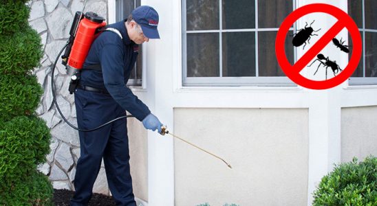 Konyaaltı Fare İlaçlama böcek ilaçlama ve haşere kontrolü — ilaclama-tr.com
